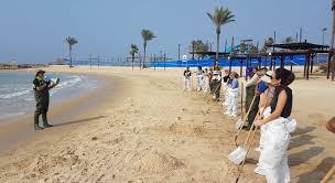 זיהום החופים by Omarya ethnya - Ourboox.com