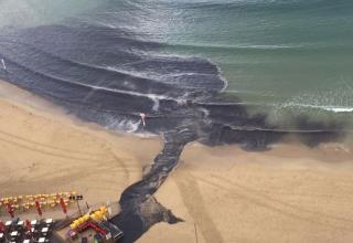 זיהום החופים by Omarya ethnya - Ourboox.com