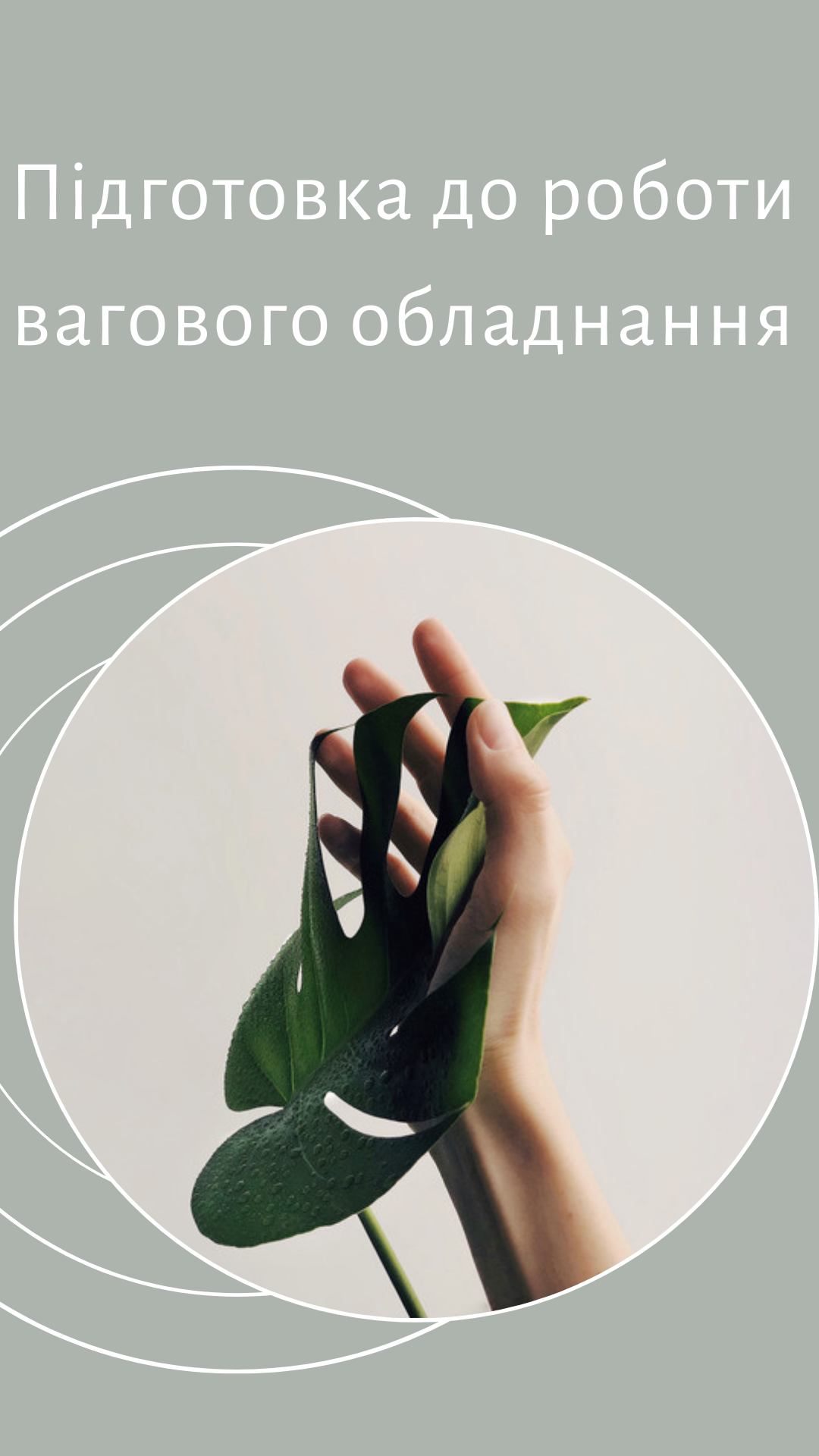 Підготовка до роботи вагового обладнання by Tanya - Illustrated by Молчанова Тетяна - Ourboox.com