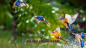 فئة الطيور by natour kawther - Ourboox.com