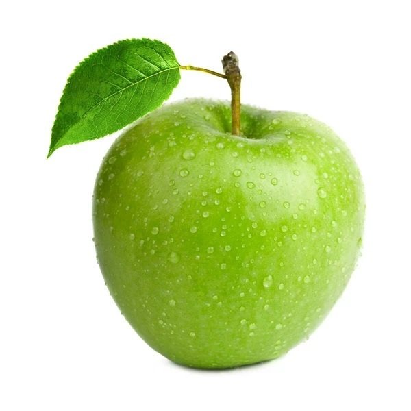 PICTORIAL DICTIONARY by NİSA ZORLU - Ourboox.com