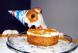 Bruno is eating the birthday cake.