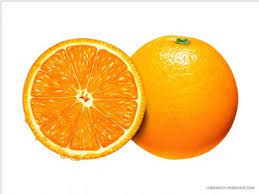 PICTORIAL DICTIONARY by NİSA ZORLU - Ourboox.com