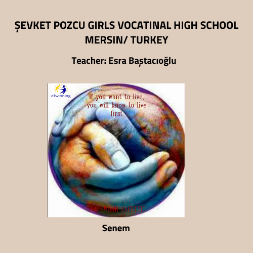 SAFEWORK SAFELIFE by Sandra B. - Ourboox.com