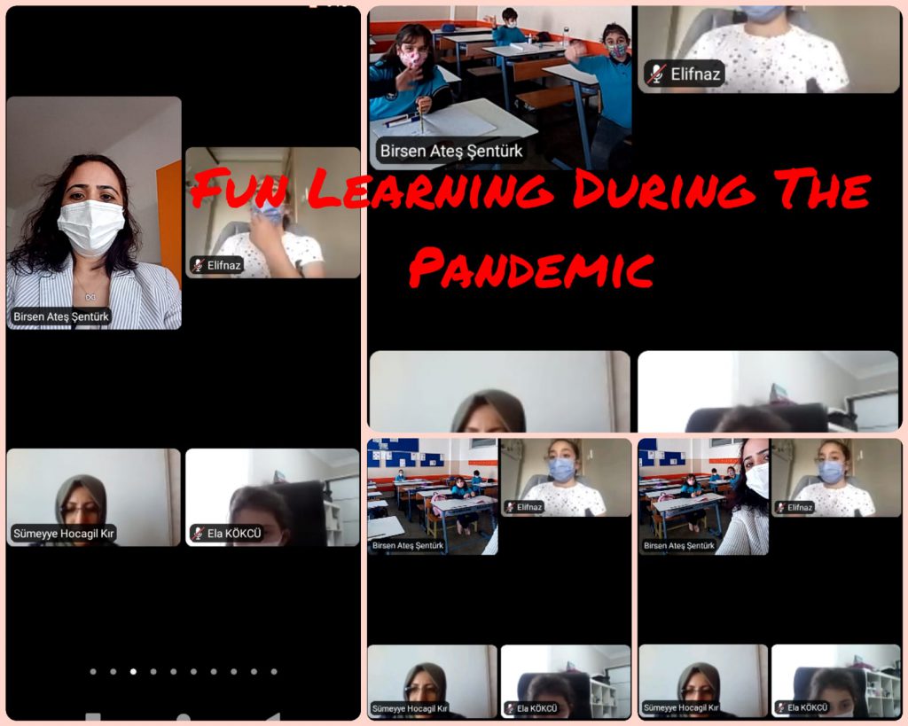Fun learning during the pandemic period-webinars by ZELİHA - Ourboox.com
