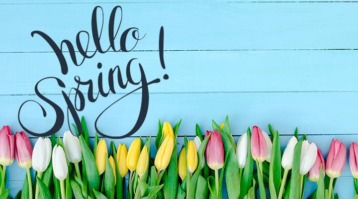 it’s spring by tarez Violet Mansour - Ourboox.com