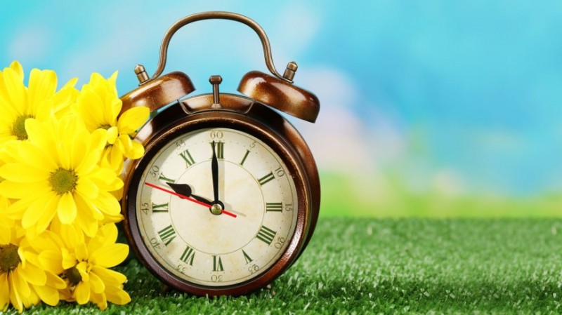 it’s spring by tarez Violet Mansour - Ourboox.com