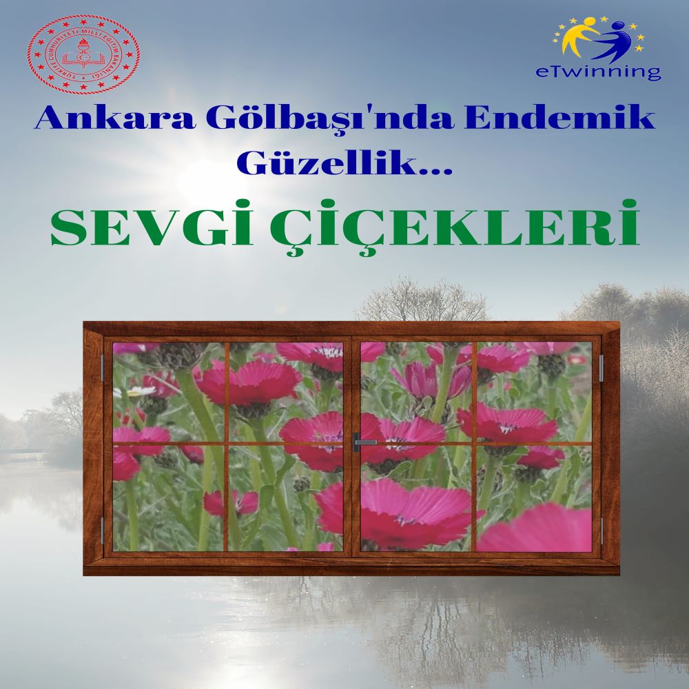 SEVGİ by SEVGİ AKTAŞ - Ourboox.com
