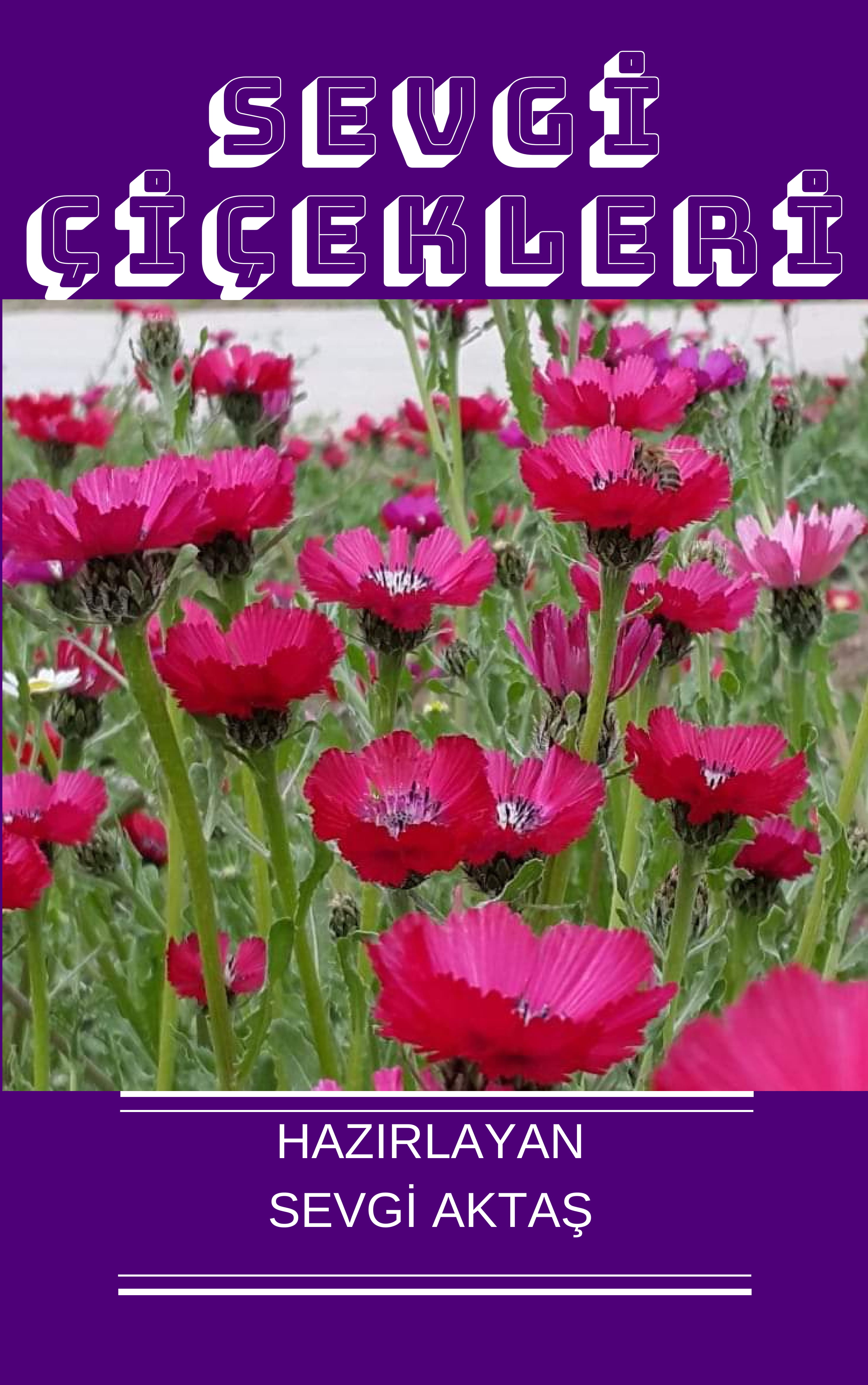 DENEME by SEVGİ AKTAŞ - Ourboox.com