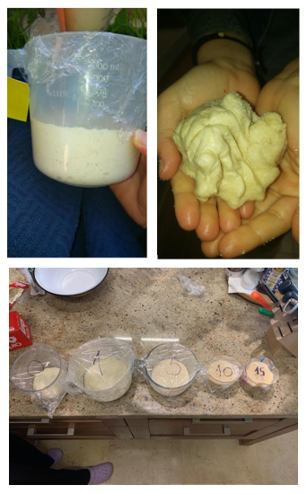 עבודת חקר במדעים – השפעת כמות הסוכר על מידת נשימת השמרים by Emanuel Abady - Ourboox.com