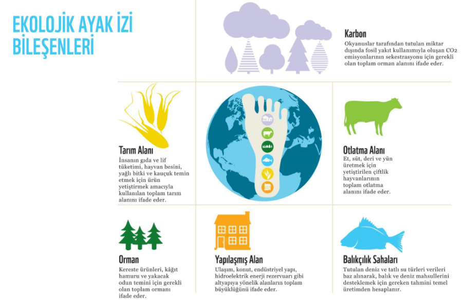 Güncel Çevre Sorunları ve İnsan by neslihan nur mete - Ourboox.com