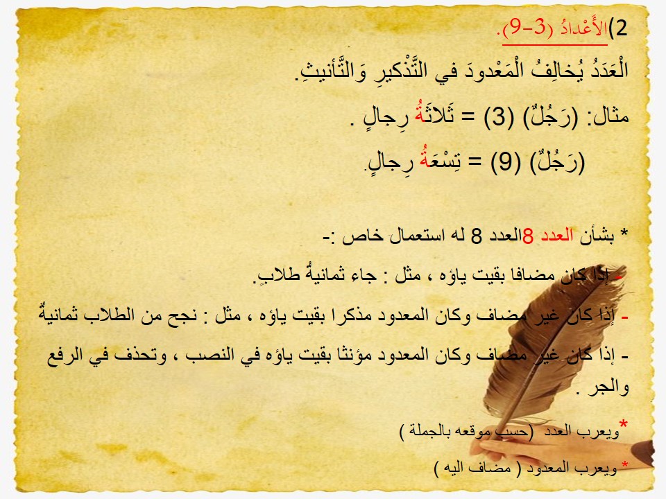 كتاب النحو (العدد) by shahd shwike - Illustrated by شهد شويكي ,هيجر بدر,سيرين شحادة - Ourboox.com