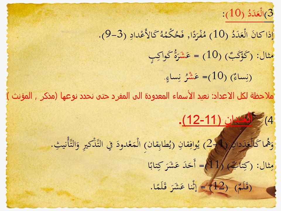 كتاب النحو (العدد) by shahd shwike - Illustrated by شهد شويكي ,هيجر بدر,سيرين شحادة - Ourboox.com