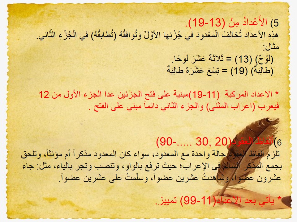 كتاب النحو (العدد) by shahd shwike - Illustrated by شهد شويكي ,هيجر بدر,سيرين شحادة - Ourboox.com