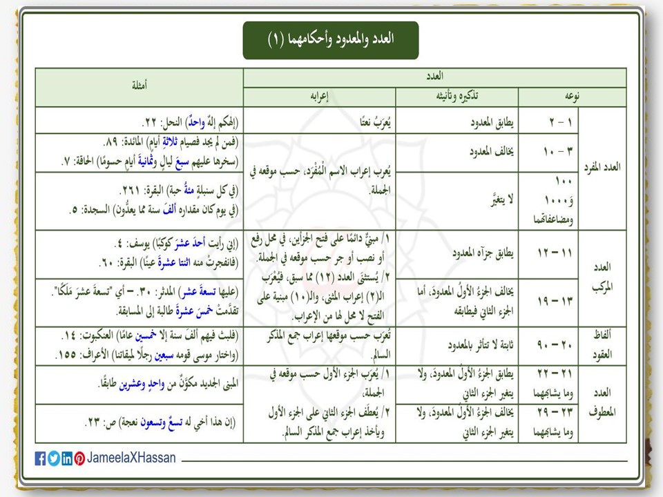 كتاب النحو (العدد) by shahd shwike - Illustrated by شهد شويكي ,هيجر بدر,سيرين شحادة - Ourboox.com