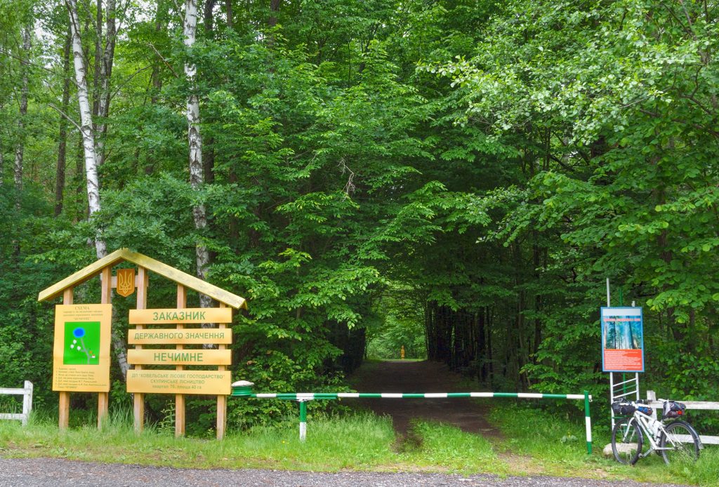 Леся Українка by Olga - Illustrated by Ольга Колієва - Ourboox.com