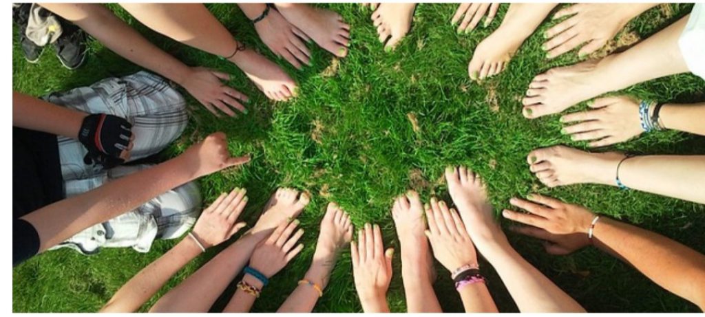 תצפית שיתופית בייצורי חיים בטבע by rina badir - Ourboox.com