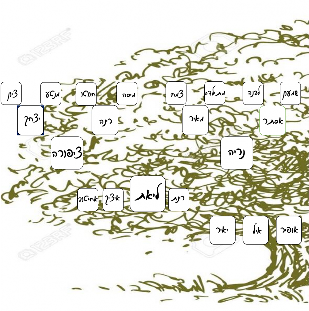 עבודת שורשים שחר by shahar ben itzhak - Ourboox.com