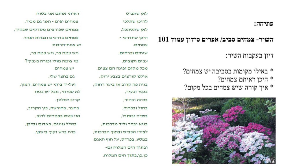 מדעים- הצמחים by shlomit kraitenberg - Illustrated by שלומית קרייטנברג - Ourboox.com