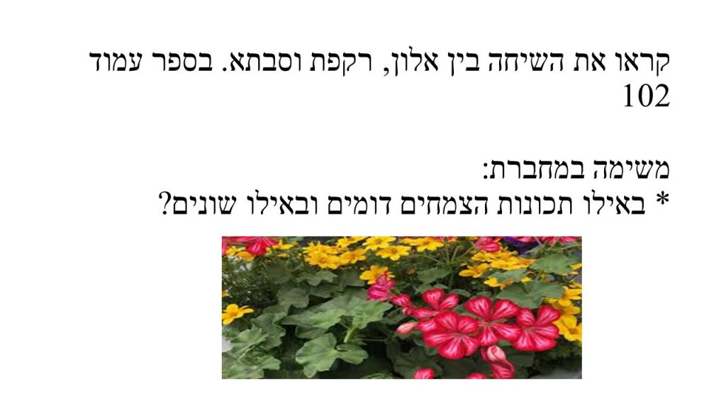 מדעים- הצמחים by shlomit kraitenberg - Illustrated by שלומית קרייטנברג - Ourboox.com