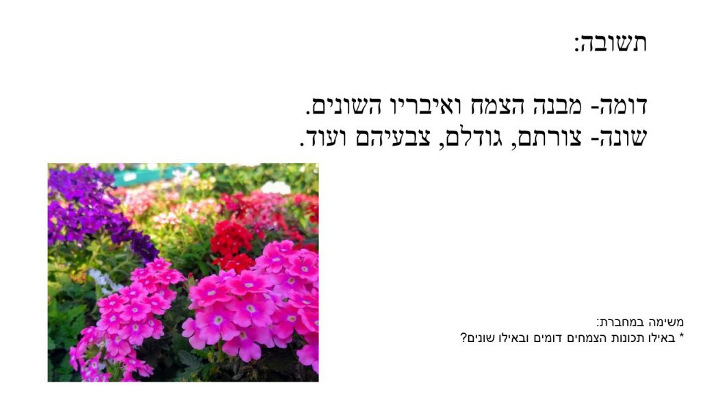 מדעים- הצמחים by shlomit kraitenberg - Illustrated by שלומית קרייטנברג - Ourboox.com