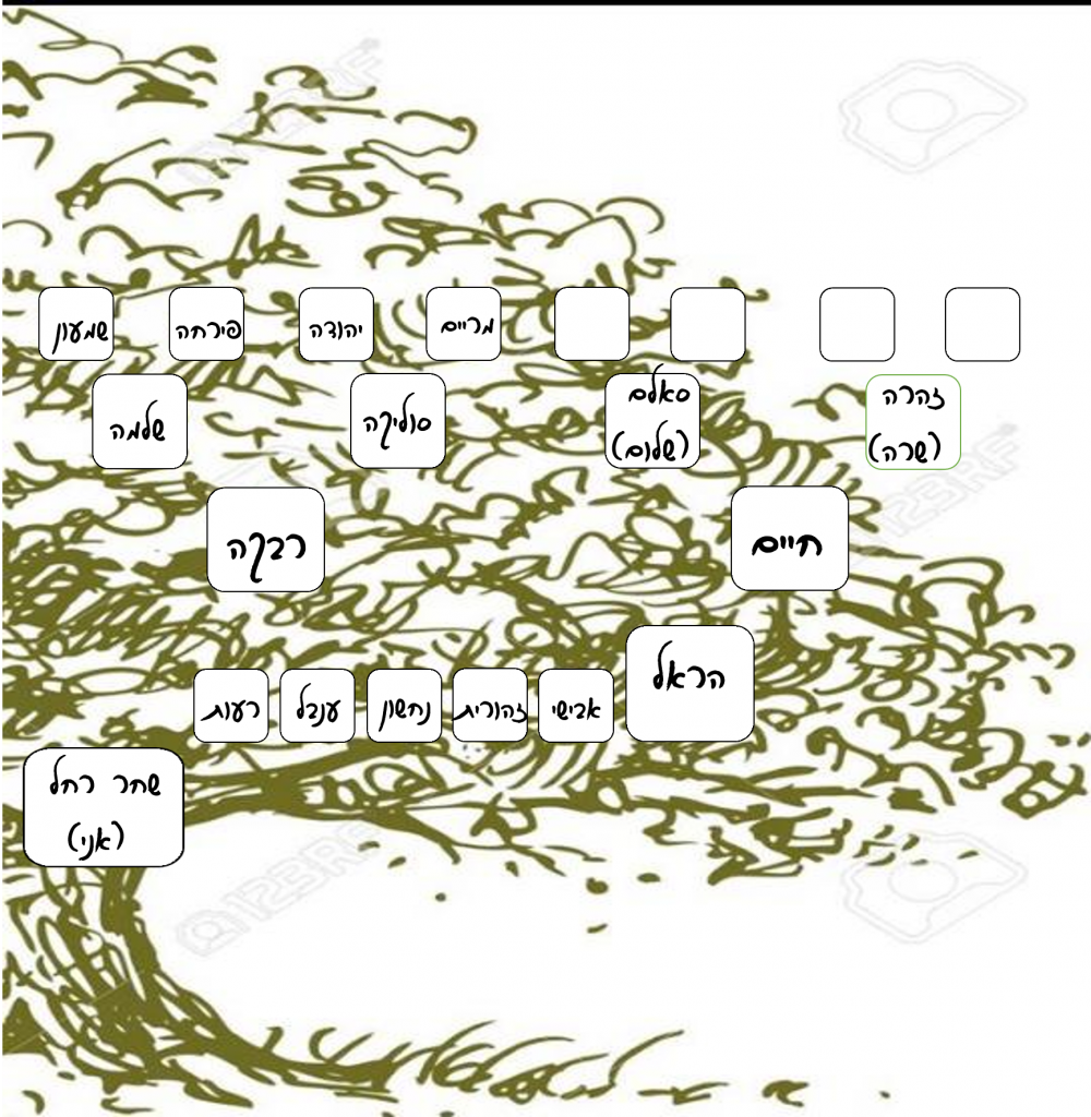 עבודת שורשים שחר by shahar ben itzhak - Ourboox.com