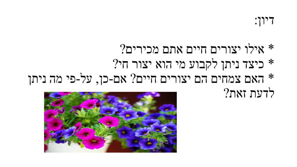 מדעים- הצמחים by shlomit kraitenberg - Illustrated by שלומית קרייטנברג - Ourboox.com