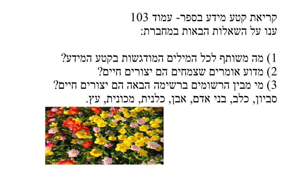 מדעים- הצמחים by shlomit kraitenberg - Illustrated by שלומית קרייטנברג - Ourboox.com