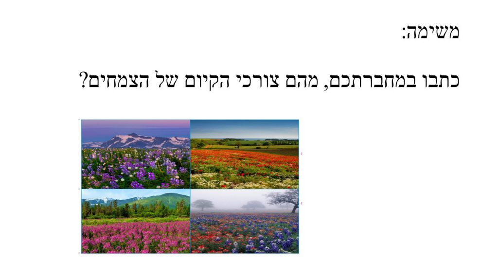 מדעים- הצמחים by shlomit kraitenberg - Illustrated by שלומית קרייטנברג - Ourboox.com