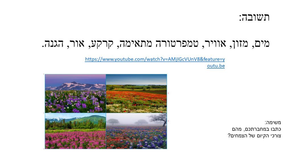 מדעים- הצמחים by shlomit kraitenberg - Illustrated by שלומית קרייטנברג - Ourboox.com