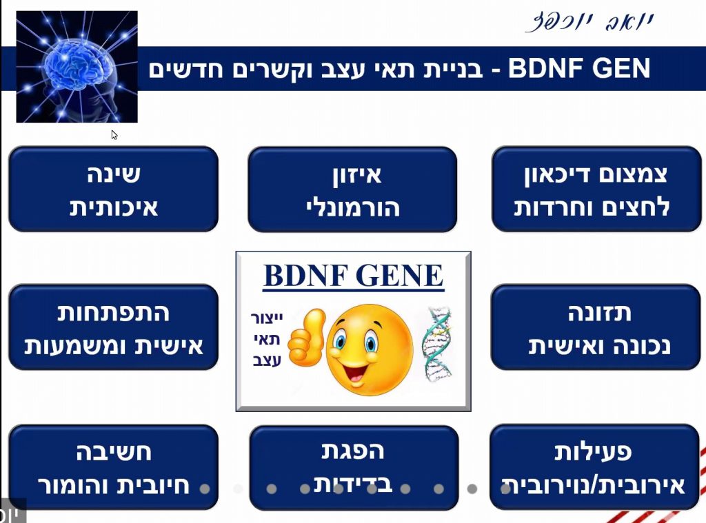 איך נוכל להימנע מדמנציה by Vedi Talmor - Ourboox.com