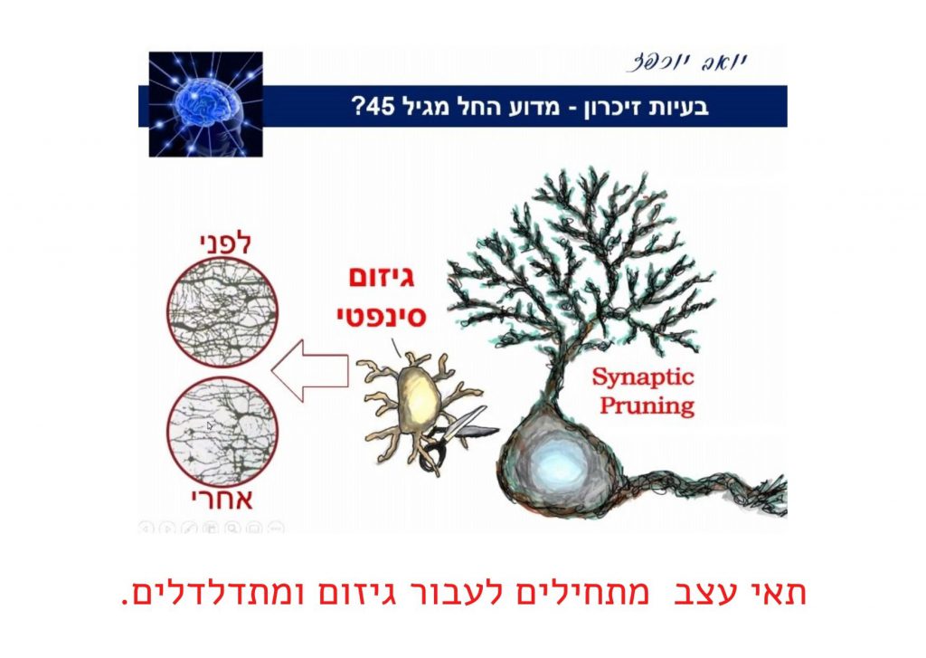 איך נוכל להימנע מדמנציה by Vedi Talmor - Ourboox.com