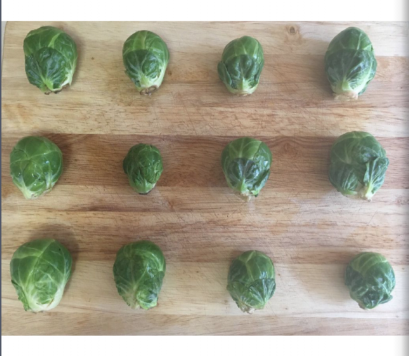 A caccia di… schieramenti!!! by Tania Urbinati - Illustrated by Tania - Ourboox.com