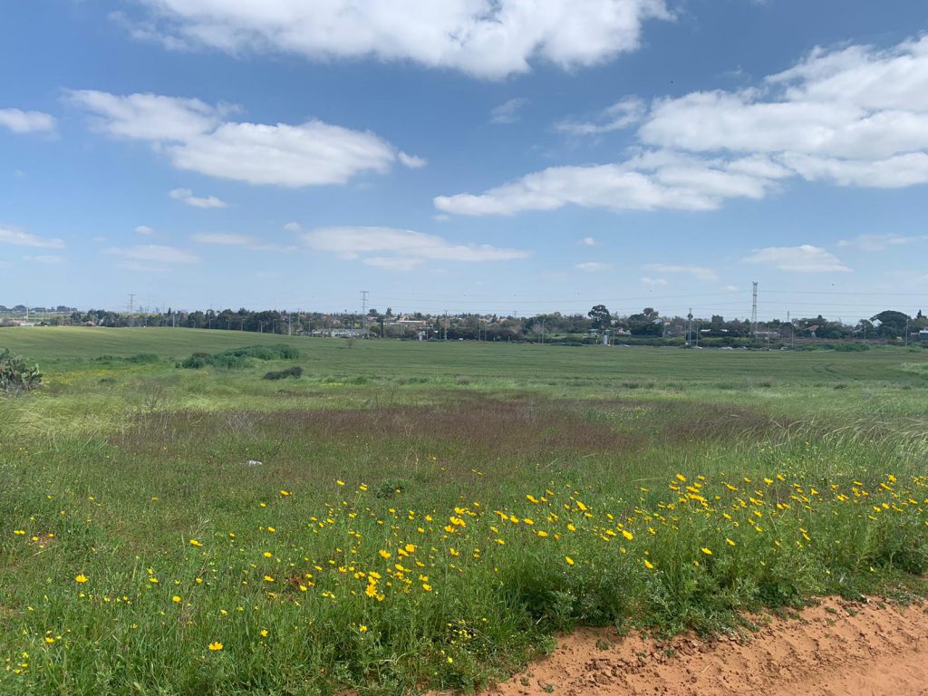 אביב שמח by Michal - Illustrated by אורלי - Ourboox.com