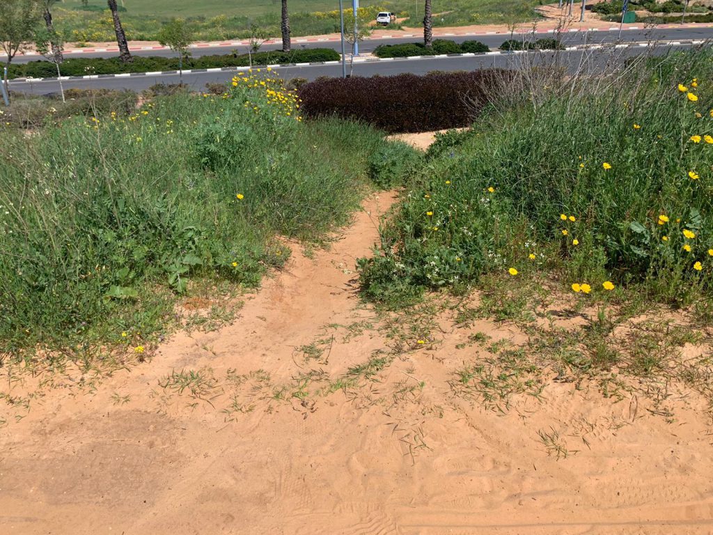 אביב שמח by Michal - Illustrated by אורלי - Ourboox.com