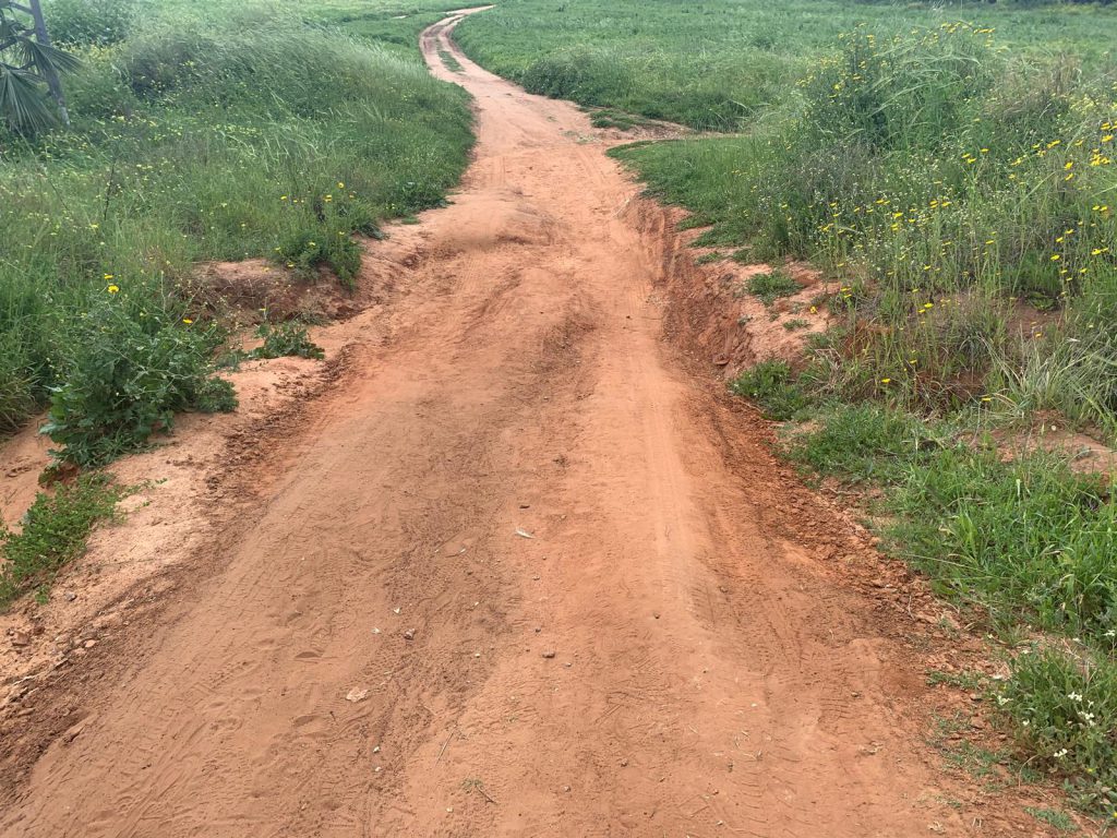 אביב שמח by Michal - Illustrated by אורלי - Ourboox.com