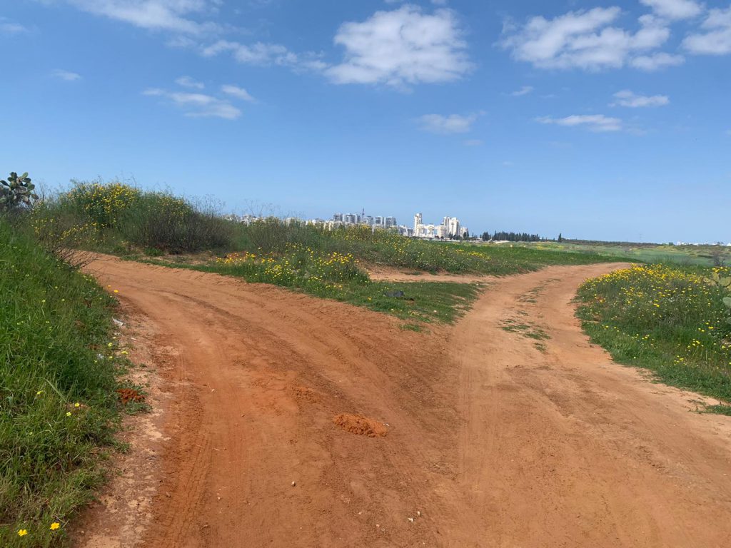 אביב שמח by Michal - Illustrated by אורלי - Ourboox.com