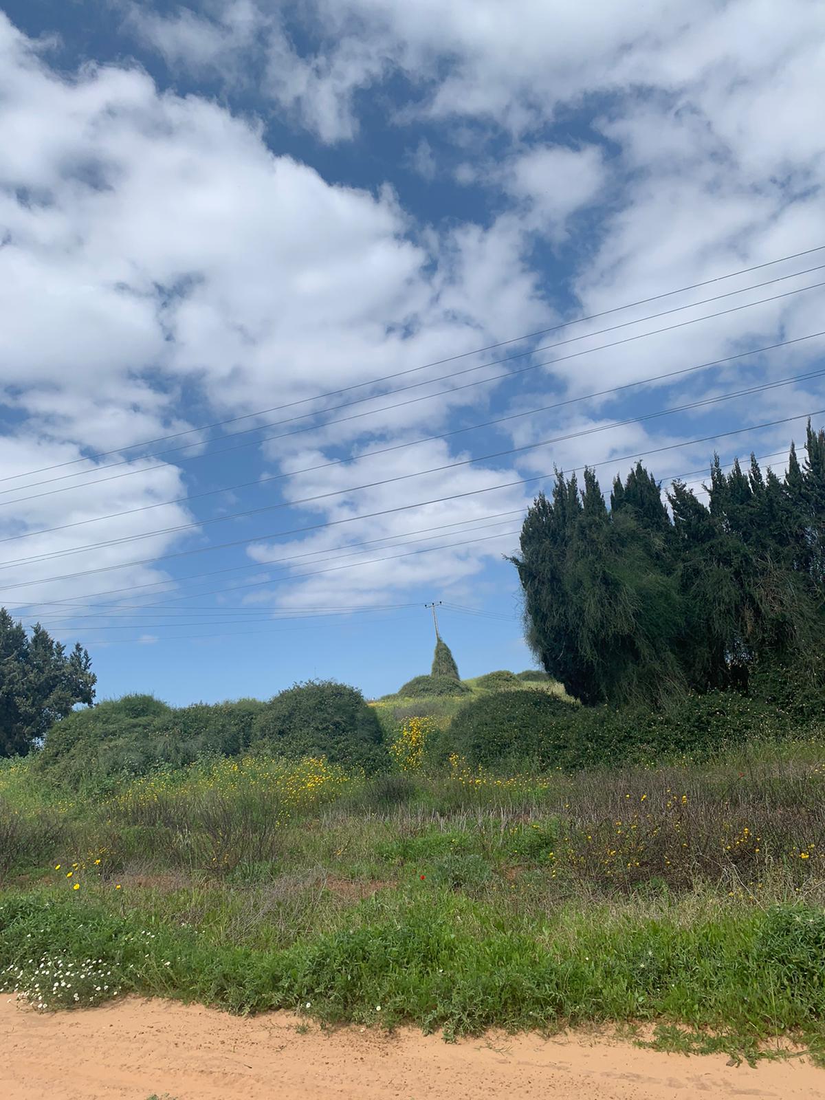 אביב שמח by Michal - Illustrated by אורלי - Ourboox.com