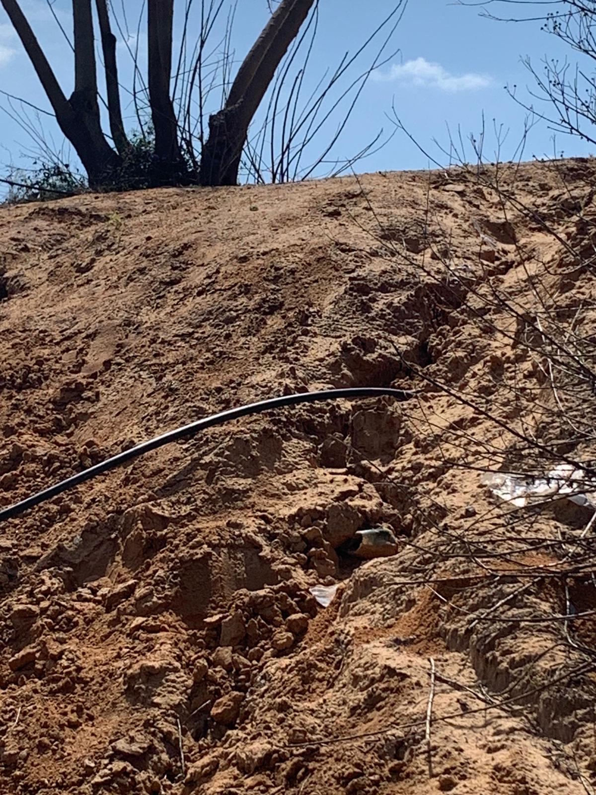 אביב שמח by Michal - Illustrated by אורלי - Ourboox.com