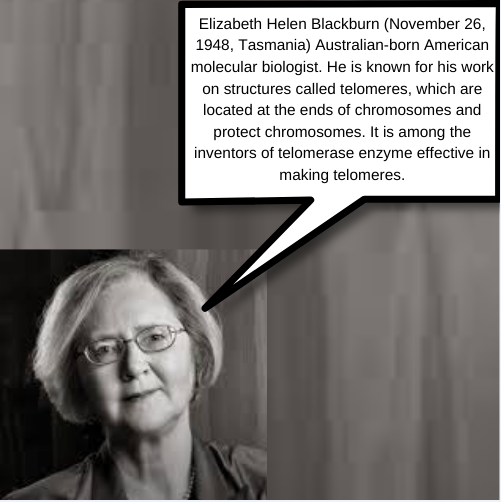 Women Scientists by Behiye Yabancı - Ourboox.com