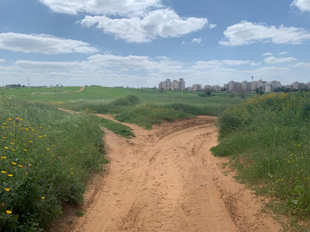 אביב שמח by Michal - Illustrated by אורלי - Ourboox.com