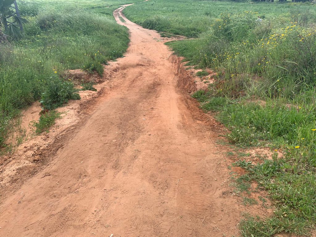 אביב שמח by Michal - Illustrated by אורלי - Ourboox.com