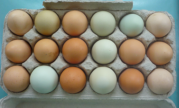 A caccia di… schieramenti!!! by Tania Urbinati - Illustrated by Tania - Ourboox.com