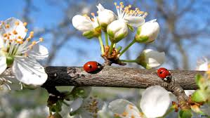 Първа пролет! by Deni i Gabi - Ourboox.com