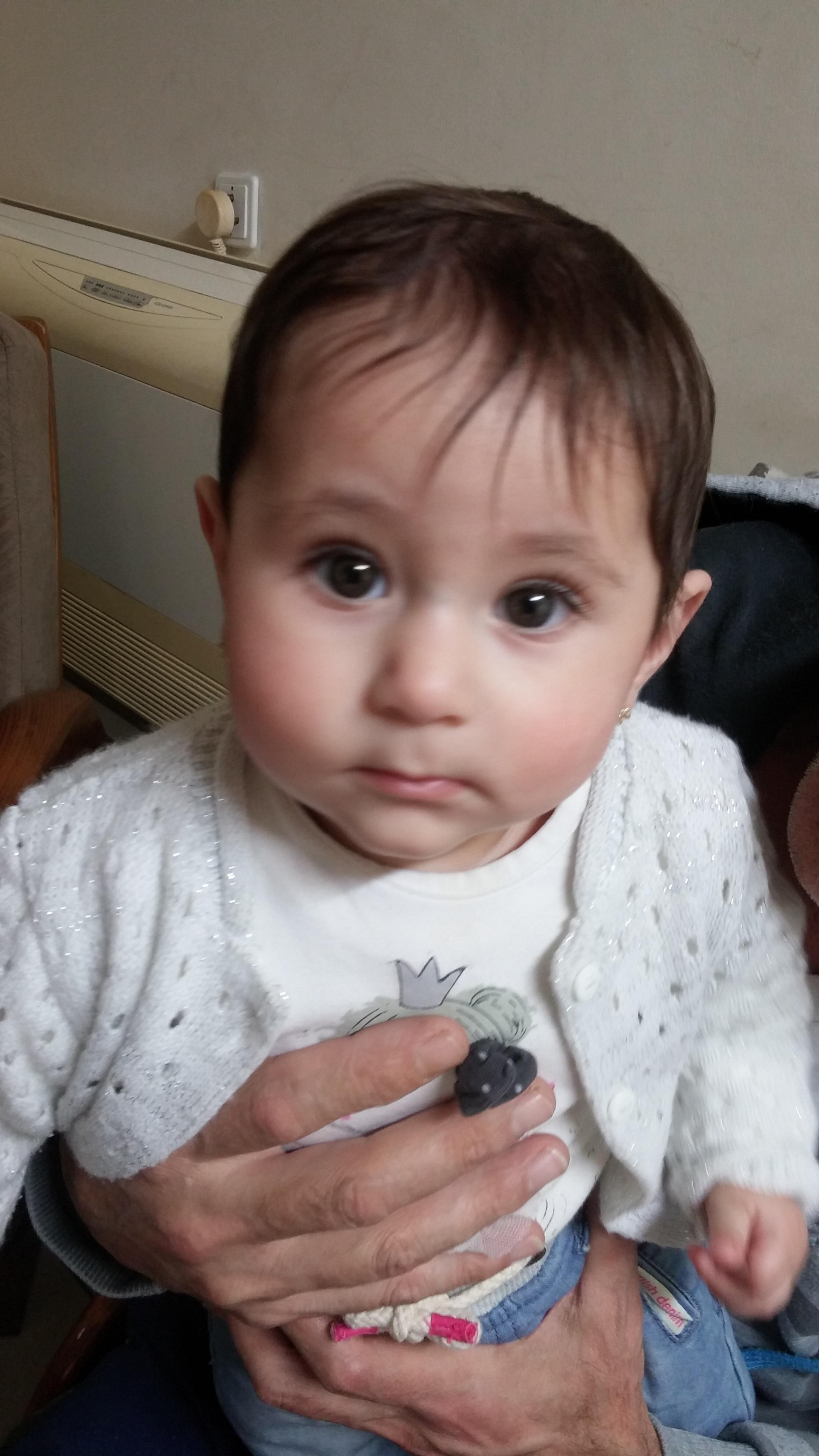 دفتر العائلة by Niveen - Ourboox.com