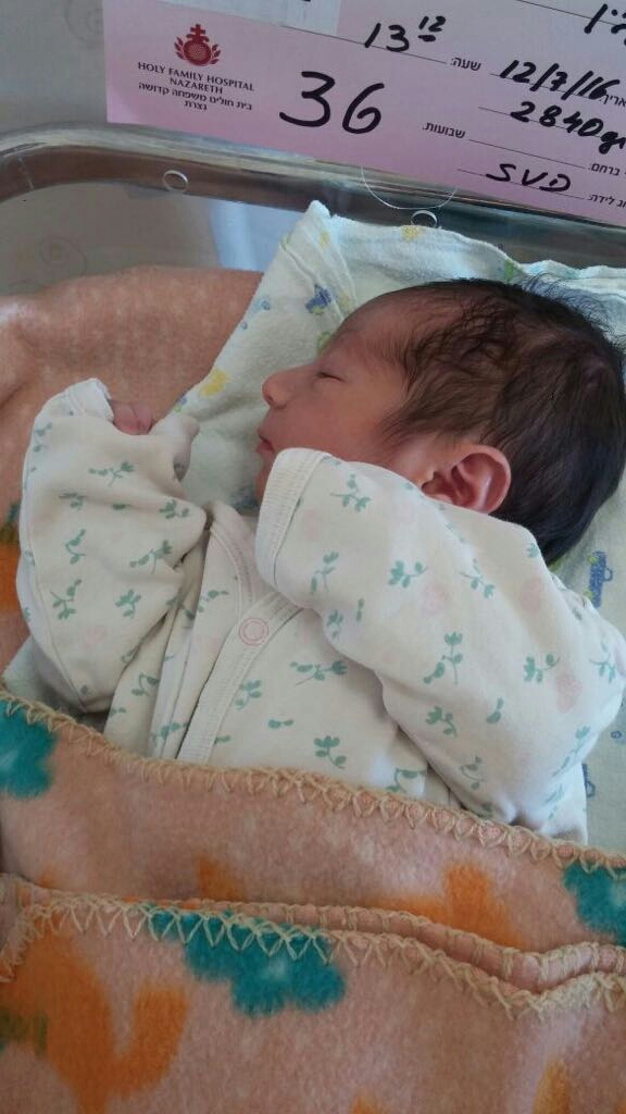 دفتر العائلة by Niveen - Ourboox.com