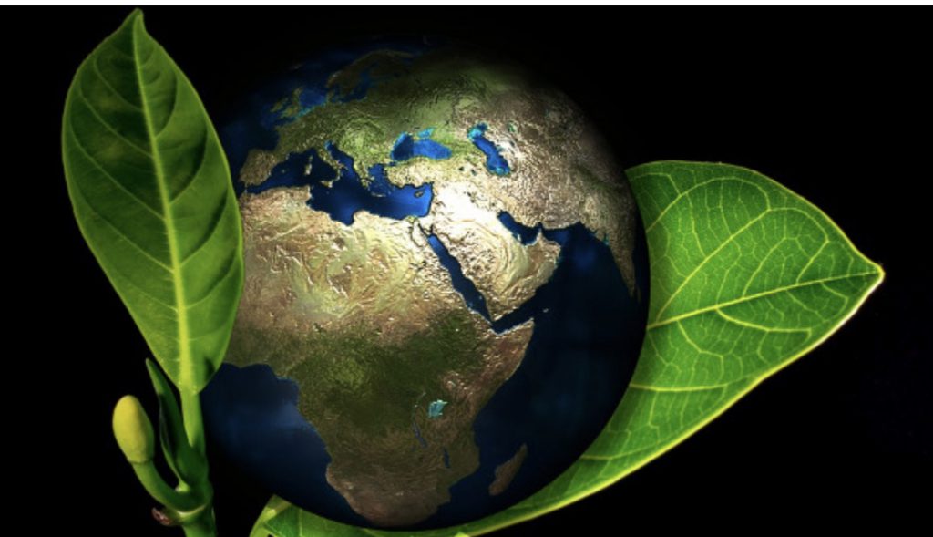 Le risorse della terra by rosa - Ourboox.com