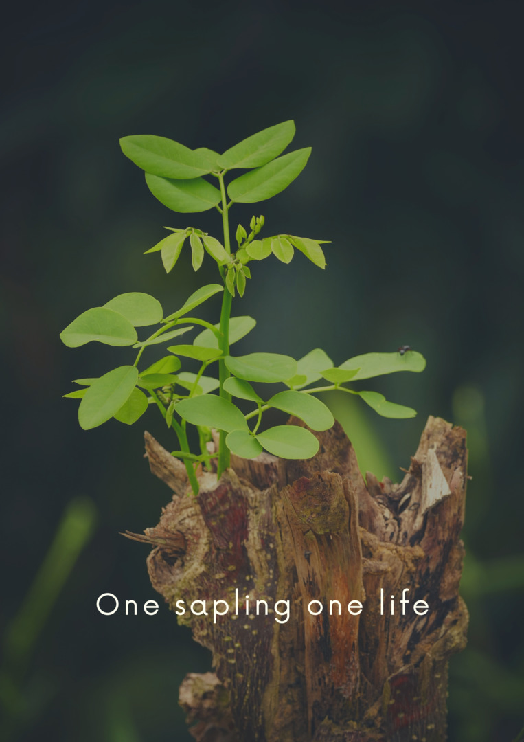 New Generation Bookworms by Korina - Ourboox.com