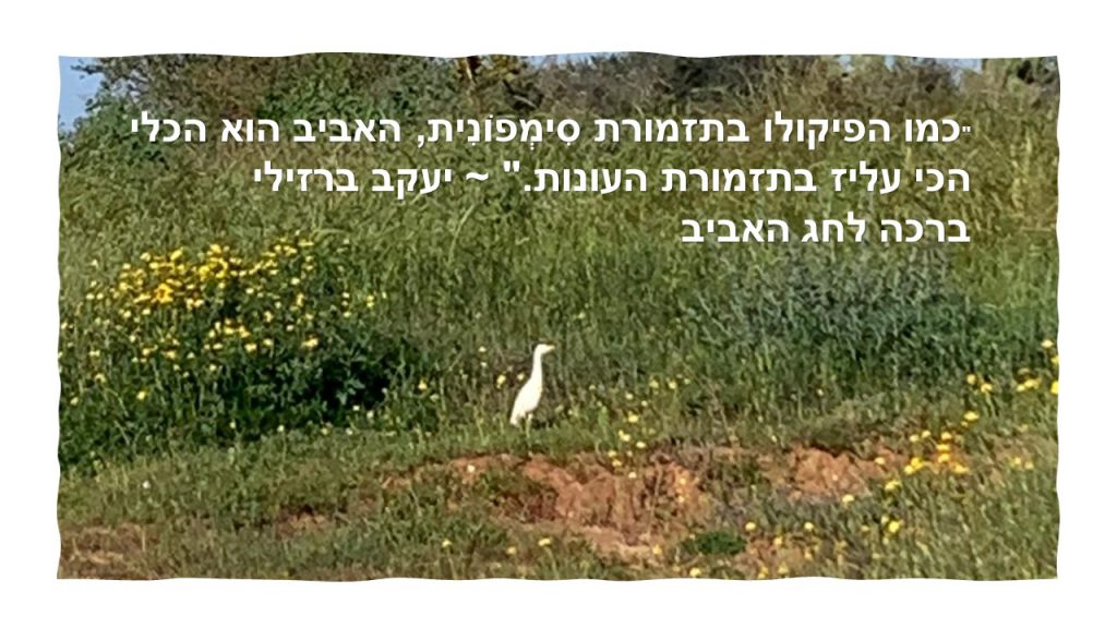 אביב שמח by Michal - Illustrated by אורלי - Ourboox.com