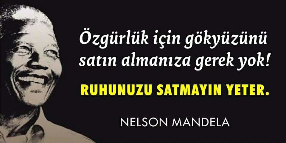 OTANTİK LİDERLİK by Gülsu Naiboğlu - Illustrated by GÜLSU NAİBOĞLU - Ourboox.com